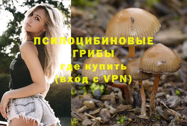 бутират Кинешма