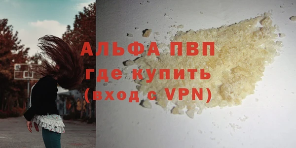 спиды Кодинск