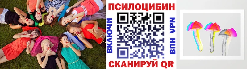 Купить где Вятские Поляны Галлюциногенные грибы ЛСД
